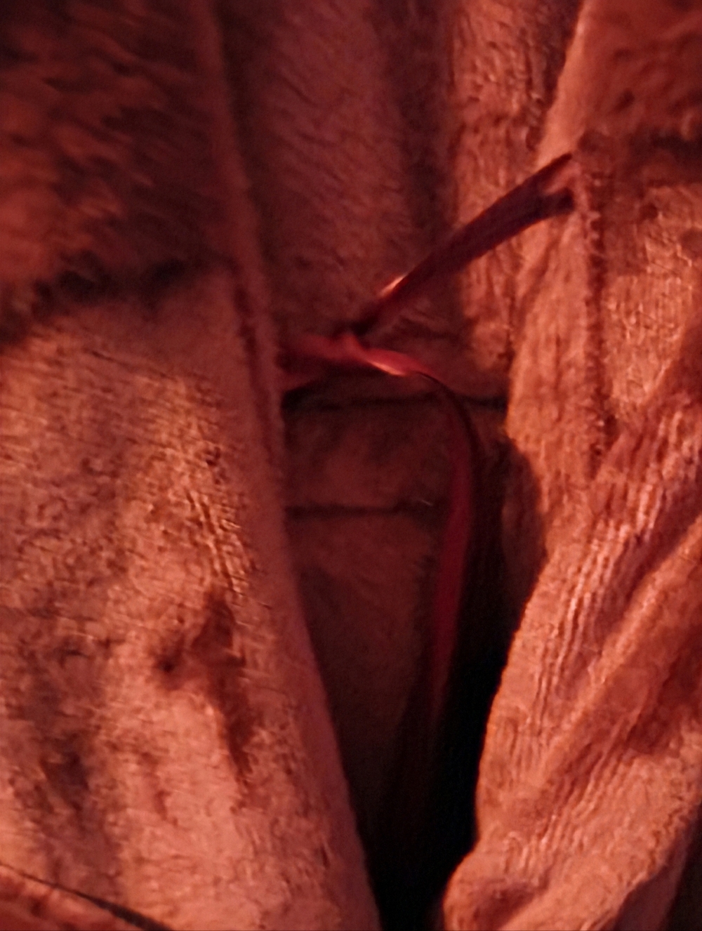 Woman's Robe - Picture 4 of 6